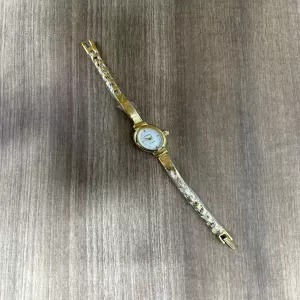 Gold Womens Fashion Citizen Brand Casual Watch