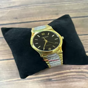 Two Tone Casual Watch For Mens Citizen Brand Watch