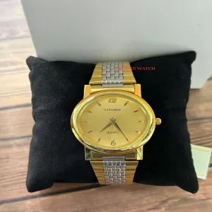 TWO TONE Mens Casual Citizen Brand TowTown Watch