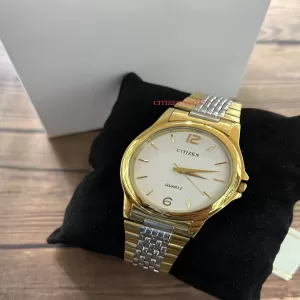 Two Tone Mens Fashion CitizenCasual Luxury Watch