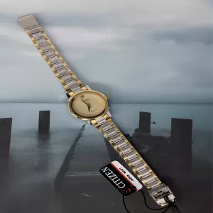 Two Tone Women Luxury Gift for Citizen Women Casual Watch