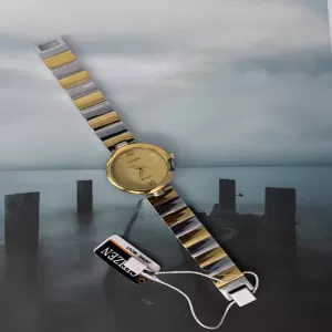 Two Tone Women Luxury Gift for Citizen Women Casual Watch