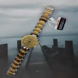 Two Tone Women Luxury Gift for Citizen Women Casual Watch