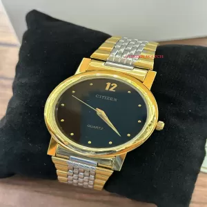 TWOTONE Casual Watch For Mens Citizen Brand Watch