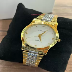 Twotone Mens Fashion CitizenCasual Luxury Watch