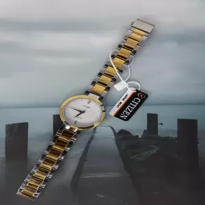 Twotone Women Luxury Gift for Citizen Women Casual Watch