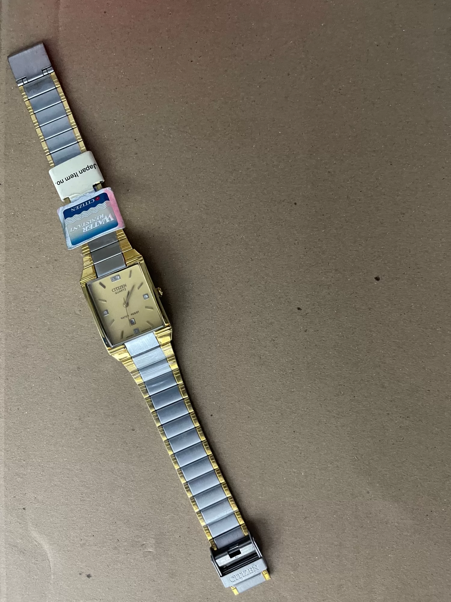 Two Tone Citizen Watch wrist Men Watch