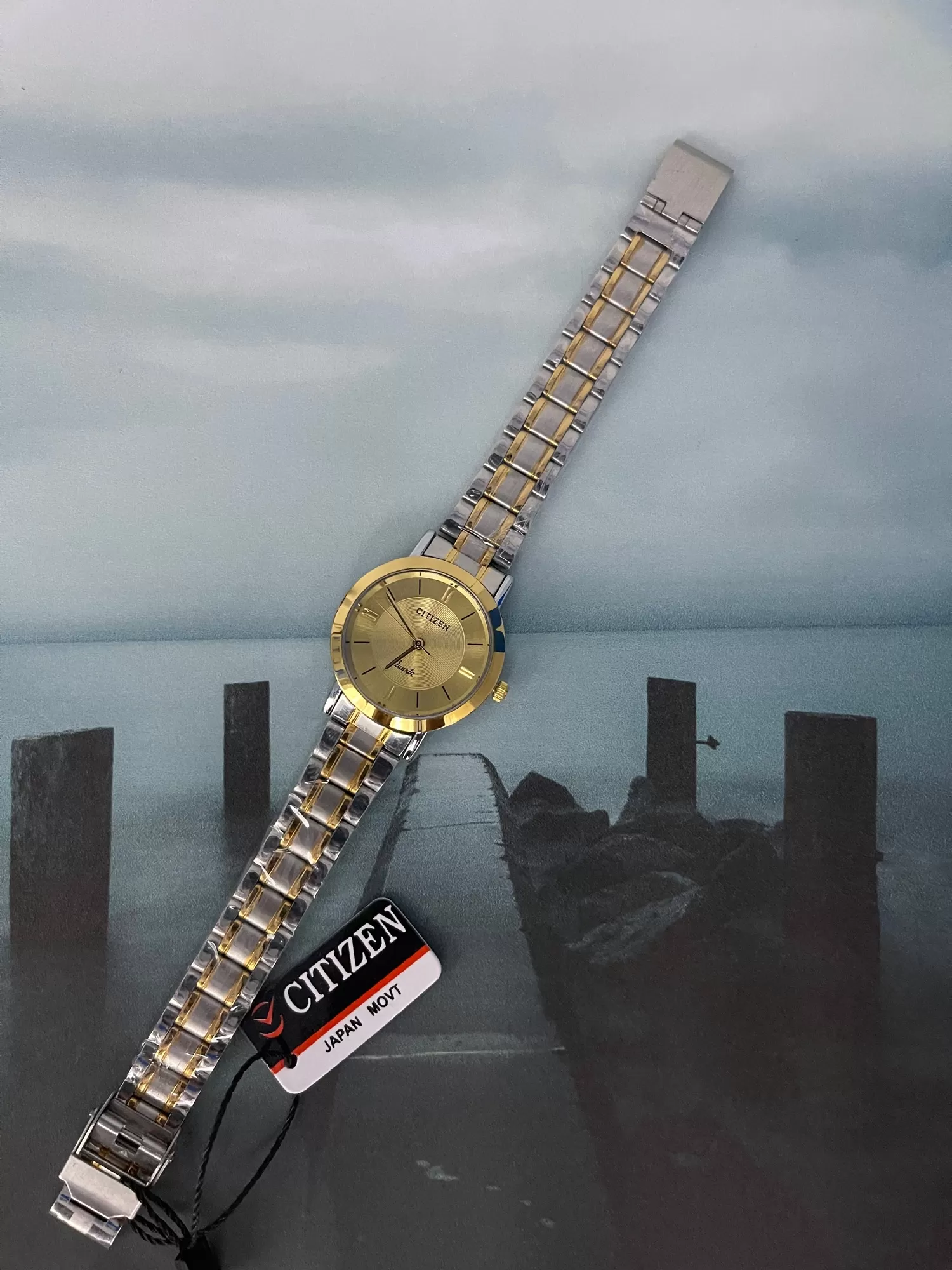 Two Tone Women Luxury Gift for Citizen Women Casual Watch