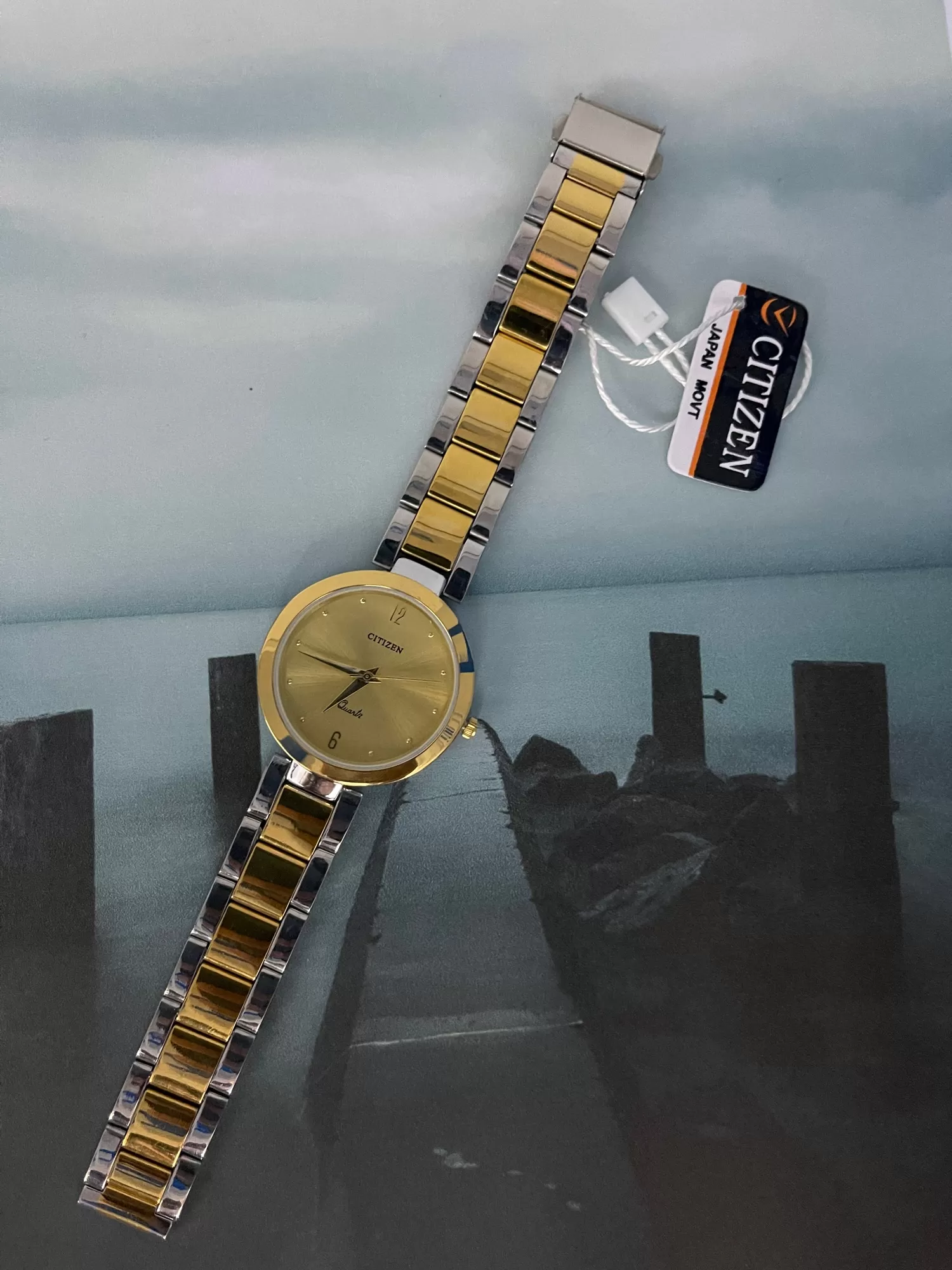 Two Tone Women Luxury Gift for Citizen Women Casual Watch