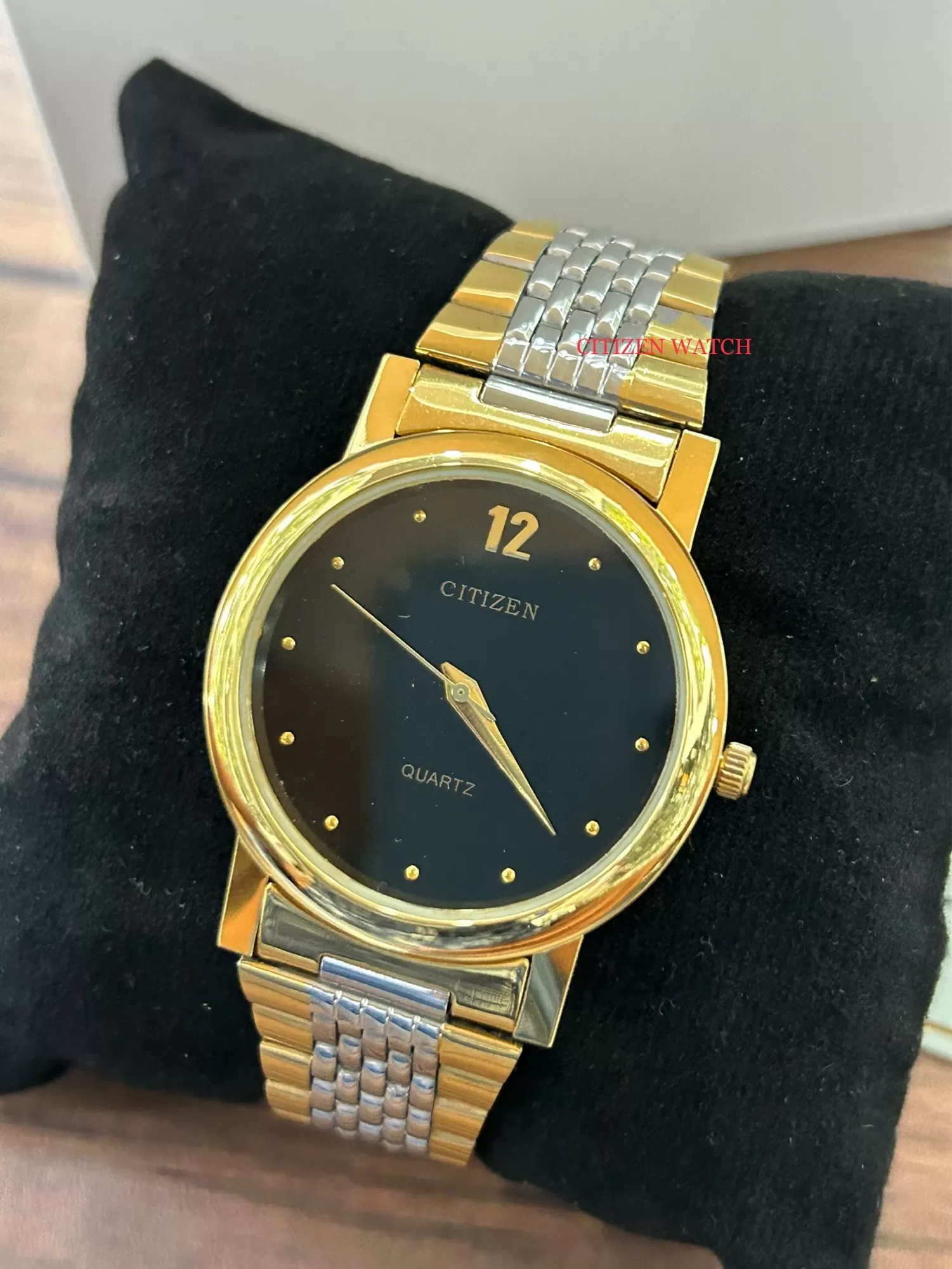 TWOTONE Casual Watch For Mens Citizen Brand Watch