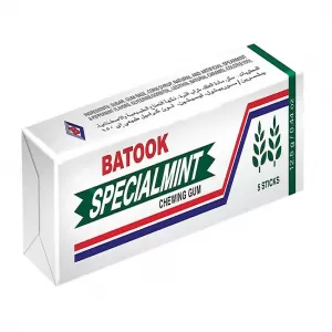 Batook Chewing Gum Special Mint 20Pcs Pack