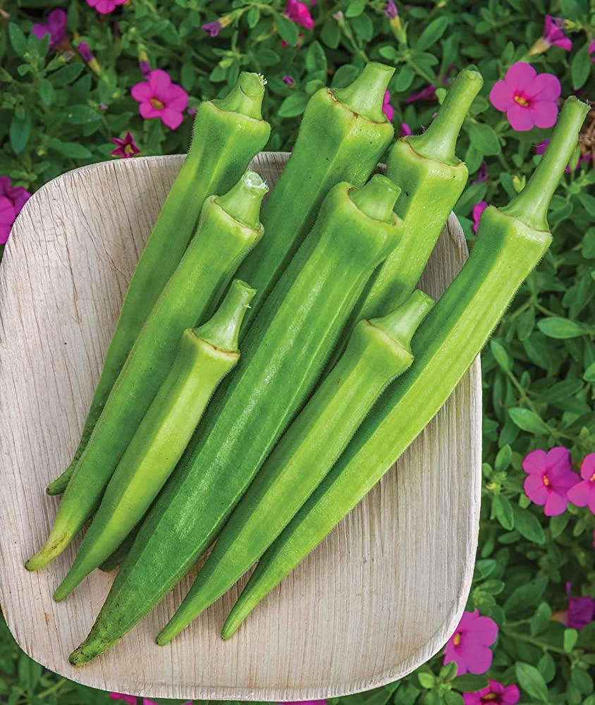 Generic Jeewani F1 Hybrid Okra Seeds 10g - image 2