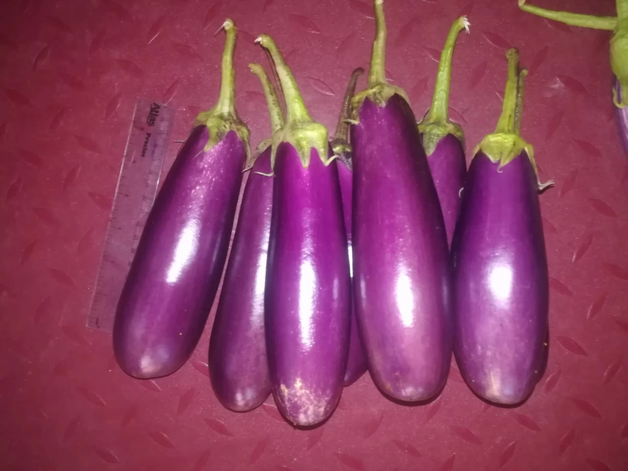 F1 Hybrid Purple Brinjal Seeds Eggplant - image 4