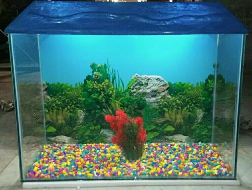 Generic 1kg Multi color Fish Tank Pebbles - image 4