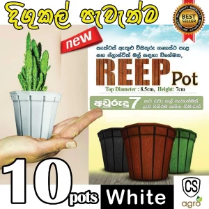 Generic Plastic Indoor Cactus Pot 10pcs Set
