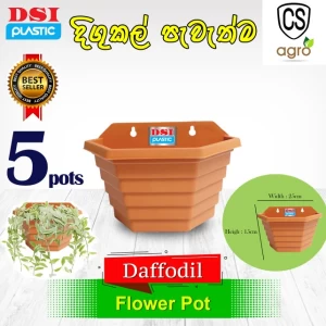 Generic Wall Pot 5Pcs Brown High Quality