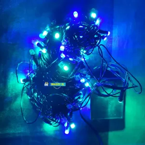 Generic Purple 100 LED String Light Vesak Poson