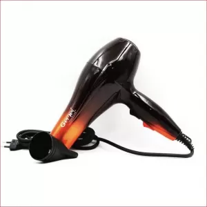 Gemei GM-1719 1800W Professional Hot Air Hair Dryer