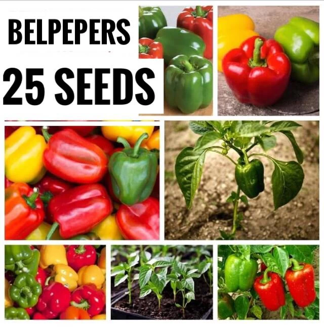 Belpepers Mix Colours Seeds