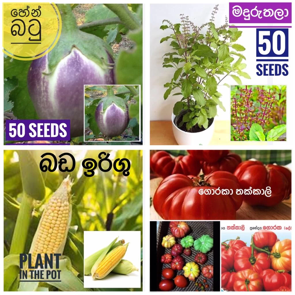 Multiple Vegetable Seeds Variety Pack