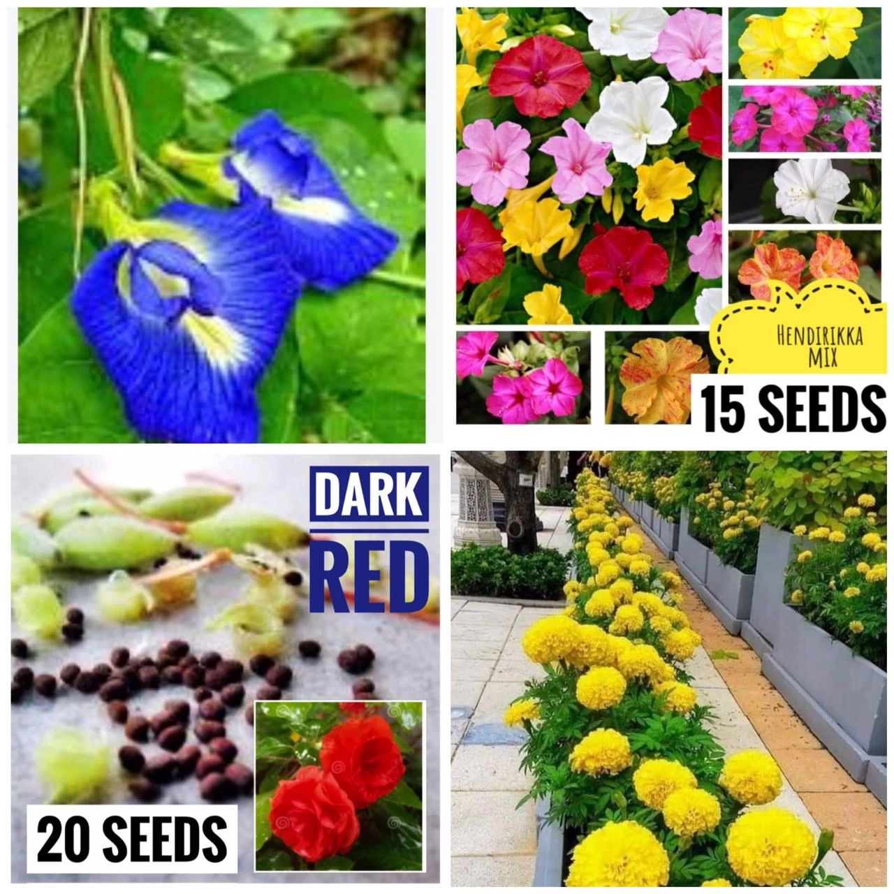 Generic Flowers Seeds Package Home Garden