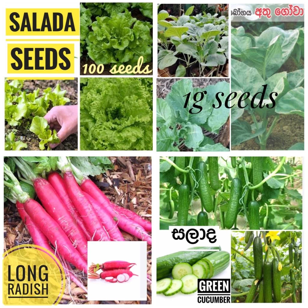 Generic Vegetable Seeds Pack
