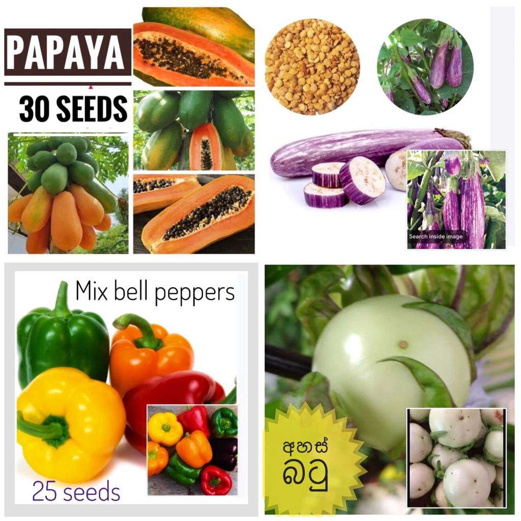 Generic Four Vegetable Variety Packs