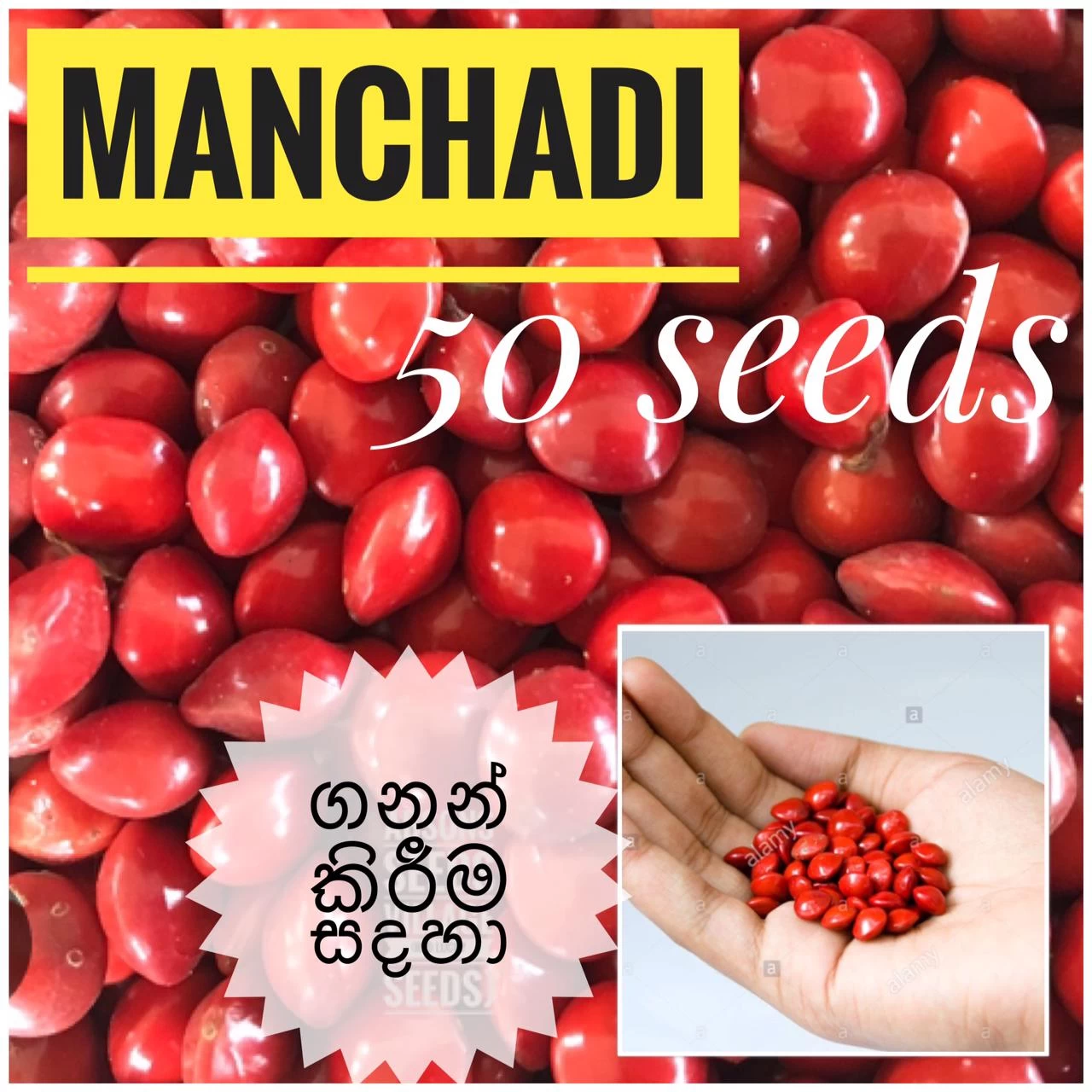 Machadi Seeds - 50 Count