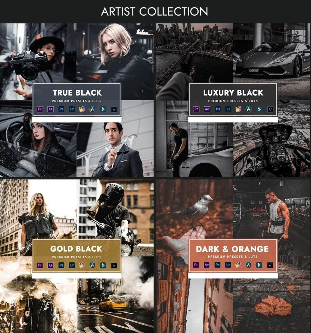 Generic Ultimate Presets & Luts Bundle + Free Gifts - image 4