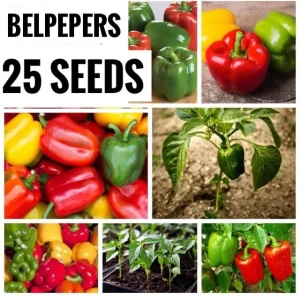 Belpepers Mix Colours Seeds