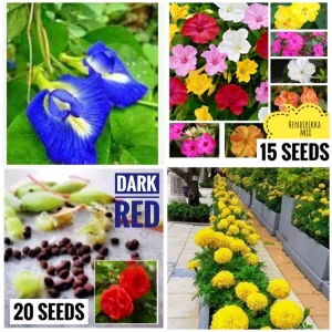 Generic Flowers Seeds Package Home Garden