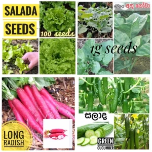 Generic Vegetable Seeds Pack