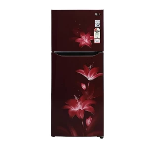 LG 260L Inverter Refrigerator Ruby Glow -  GL-K272SPTL