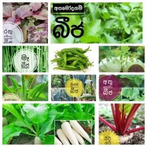 Generic 10 Variety Vegetable Seeds Package
