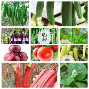 Generic 10 Seeds Pack Vegetable Variety