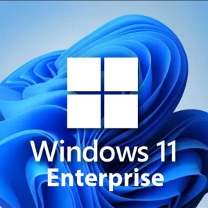 Microsoft Windows 11 Enterprise Pre-Activated