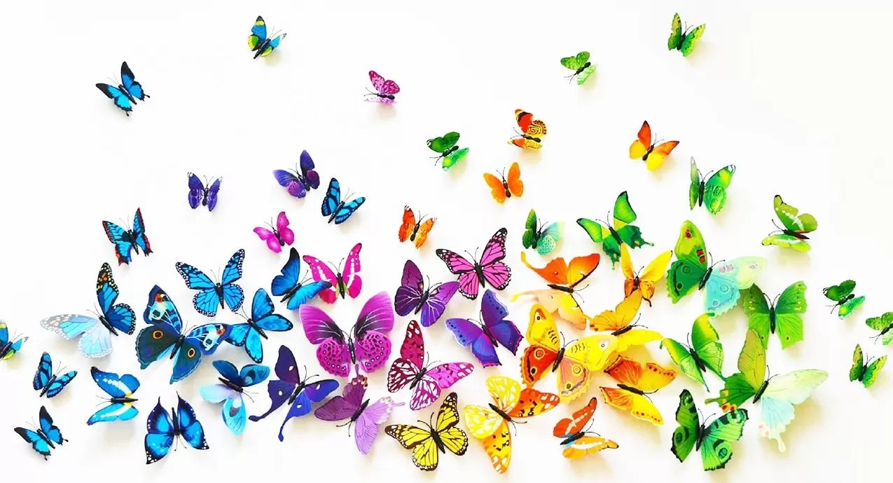 Generic 72 3D Butterfly Wall Stickers