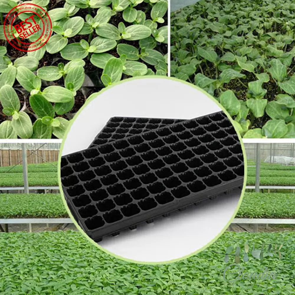 Generic 105 Holes Tray Thick Black Seedling Nursery - image 4