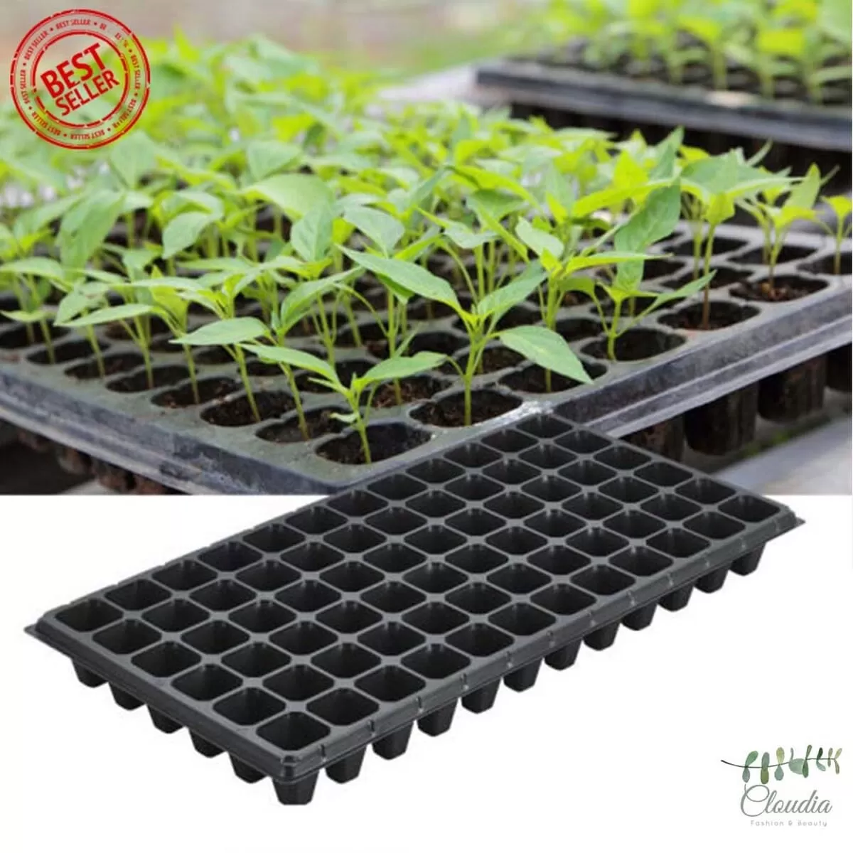 Generic 72 Holes Seedling Tray Thick Black
