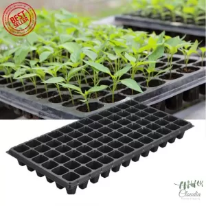 Generic 72 Holes Seedling Tray Thick Black