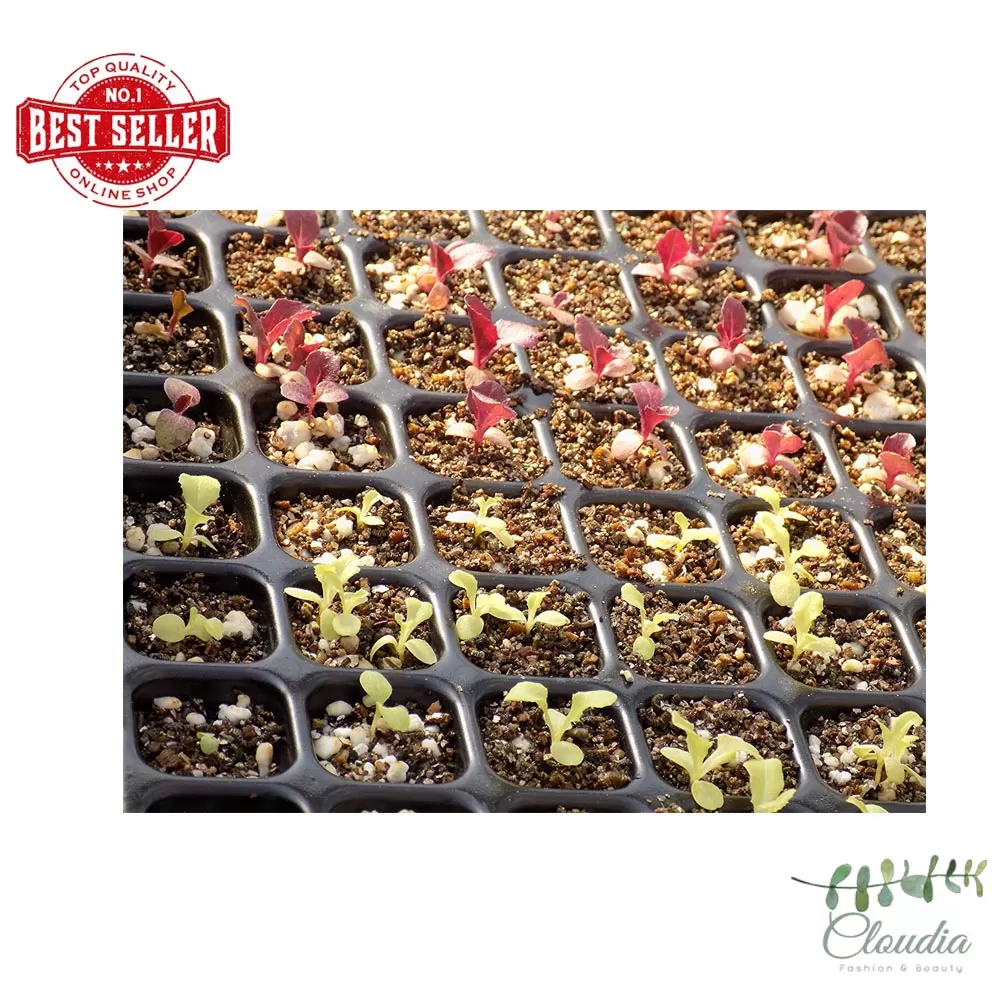 Generic Seedling Tray 32 Holes Thick Black - image 3