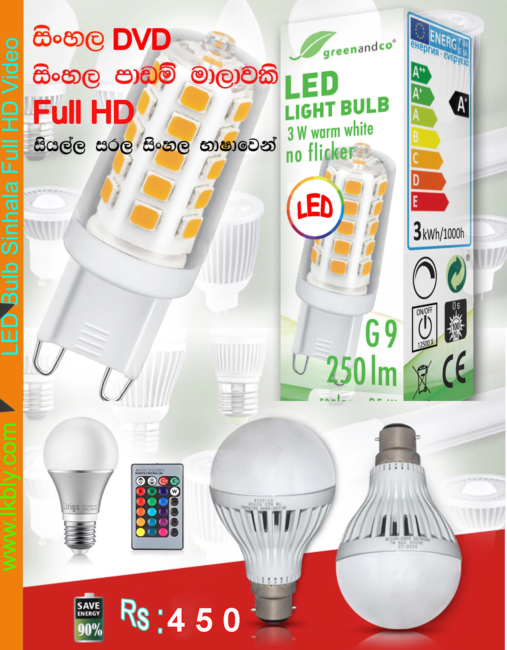 Sinhala LED Bulb Repair Business Training