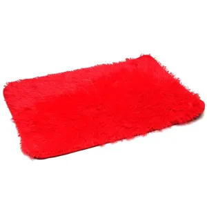 Tiger Door Mat Small Multy Colour