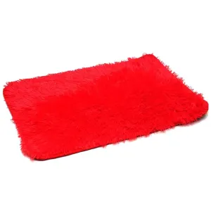 Tiger Door Mat Small-Multy Colour