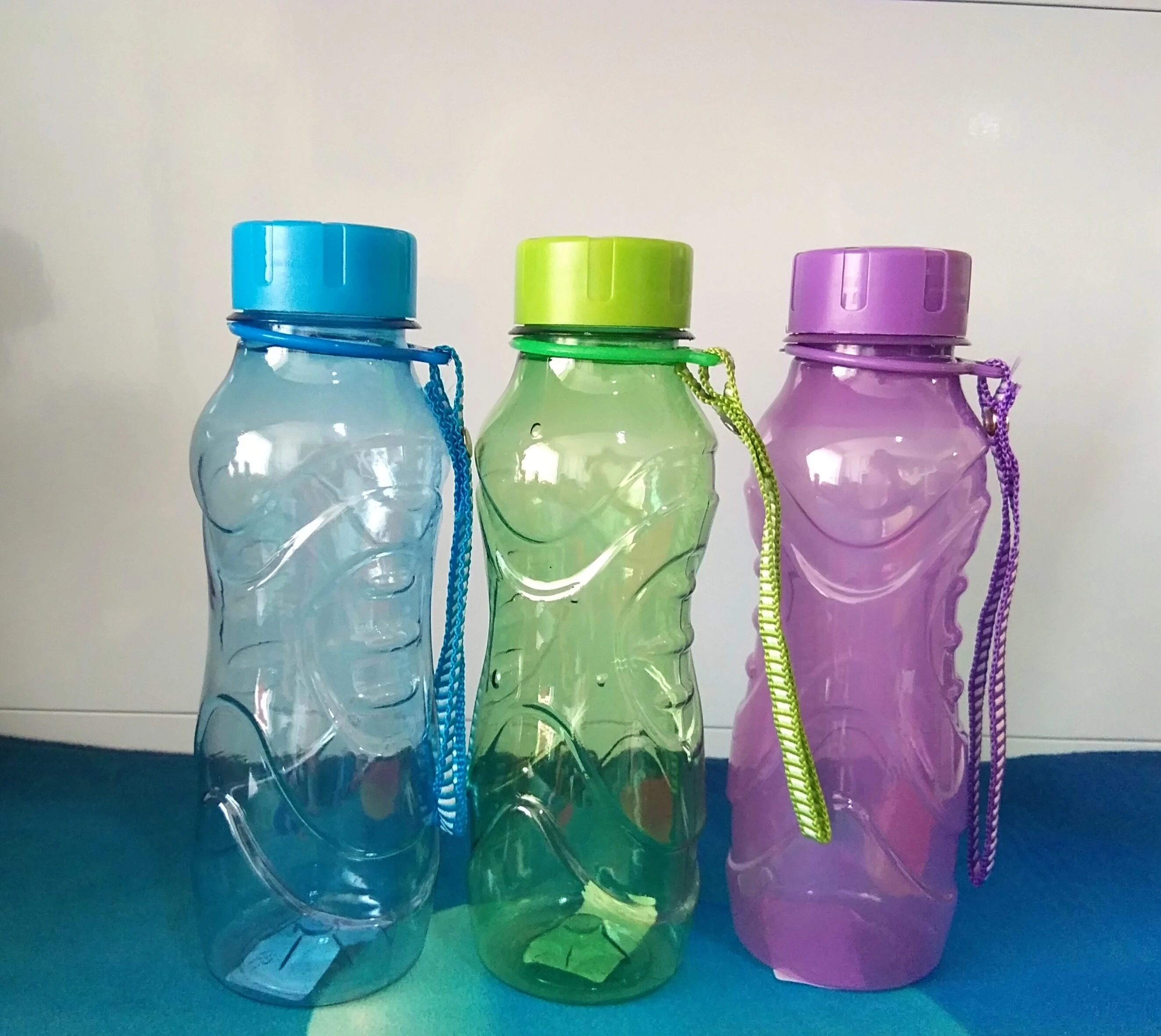 Generic Water Bottle 450ml
