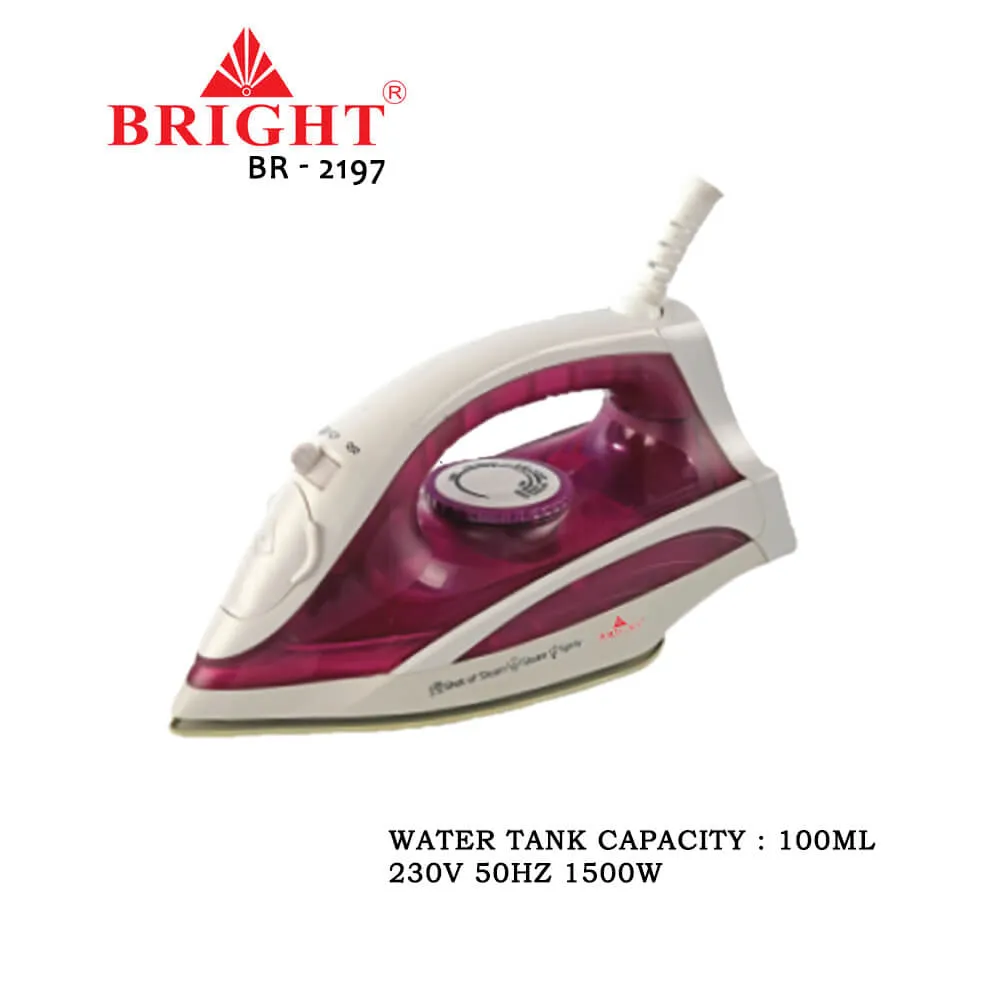 Bright BR-2197 Steam Iron Sprayer/Dryer - image 1