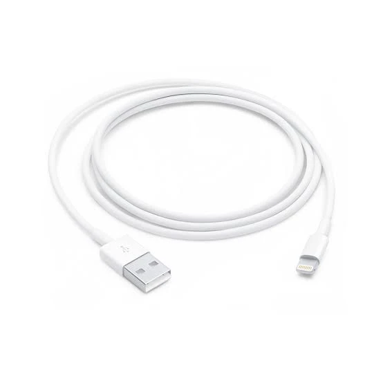 Generic 1M Fast Charging Data Cable for iPhone iPad