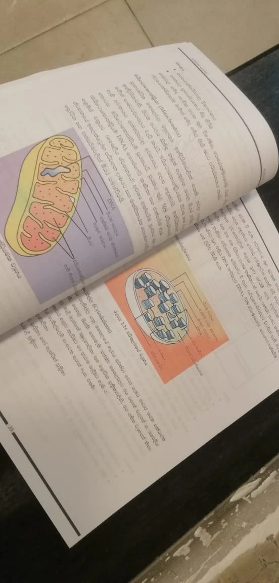 NIE Biology Resource Book Unit 1-5 ජීව විද්‍යාව 01-05 - image 2
