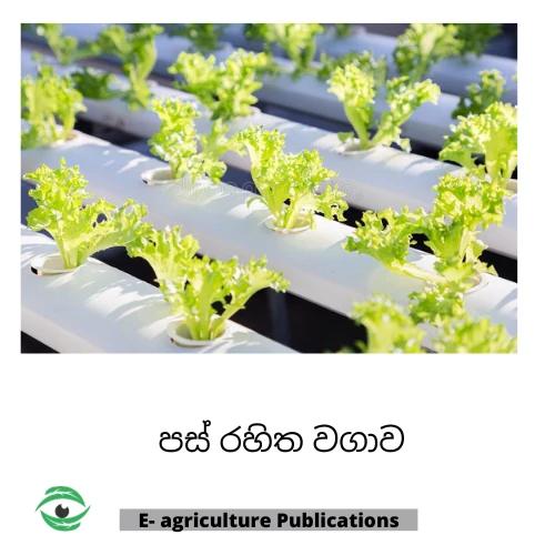Generic Hydroponics Learning PDF Sinhala eBook
