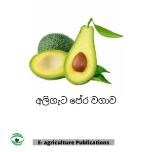 Generic Avocado Cultivation Sinhala PDF eBook